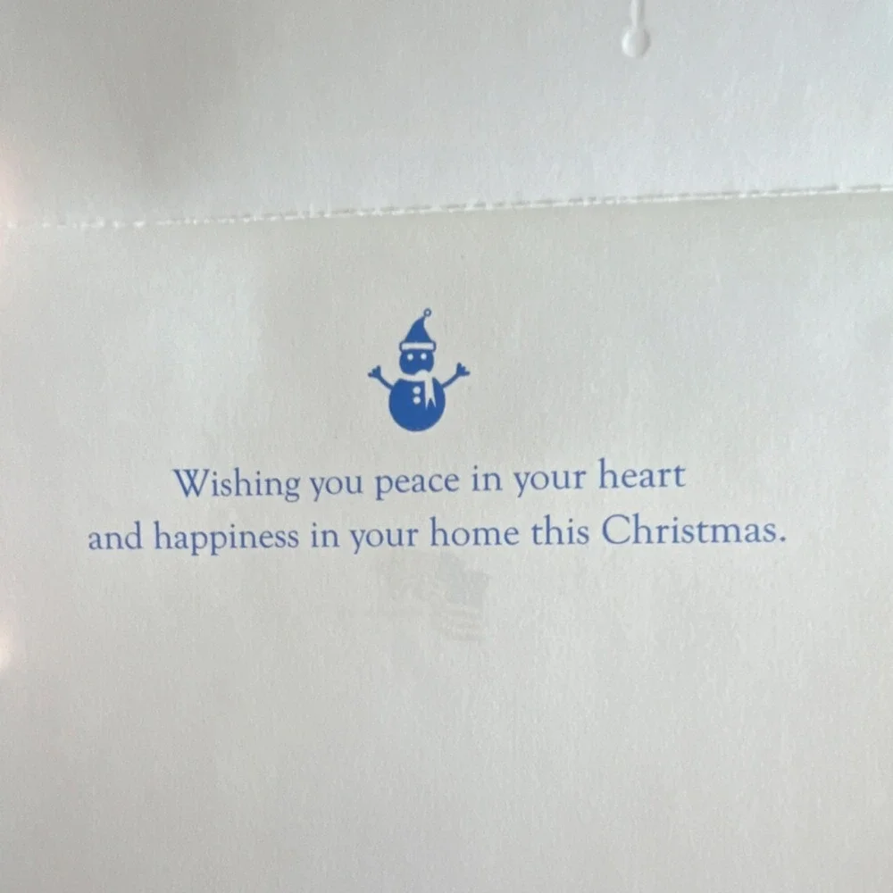 DAV Christmas Greeting Cards‎ Set of 4 Decorative Santa Claus Snowman Multicolor